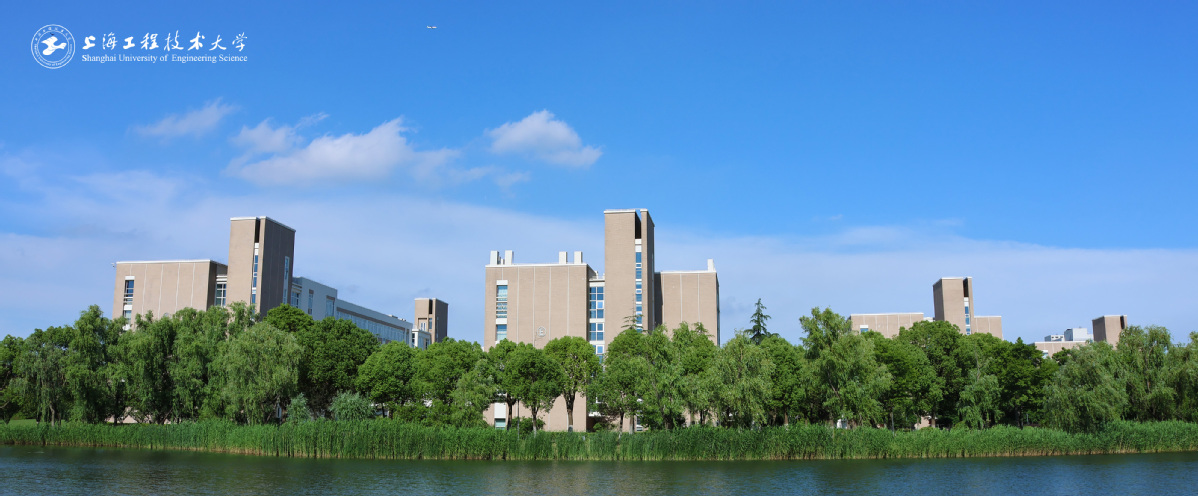  审核评估专家座谈会